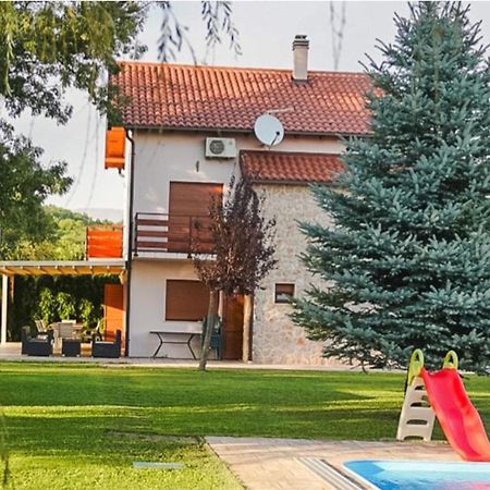 Villa Leko Dream House Cetina Buitenkant foto