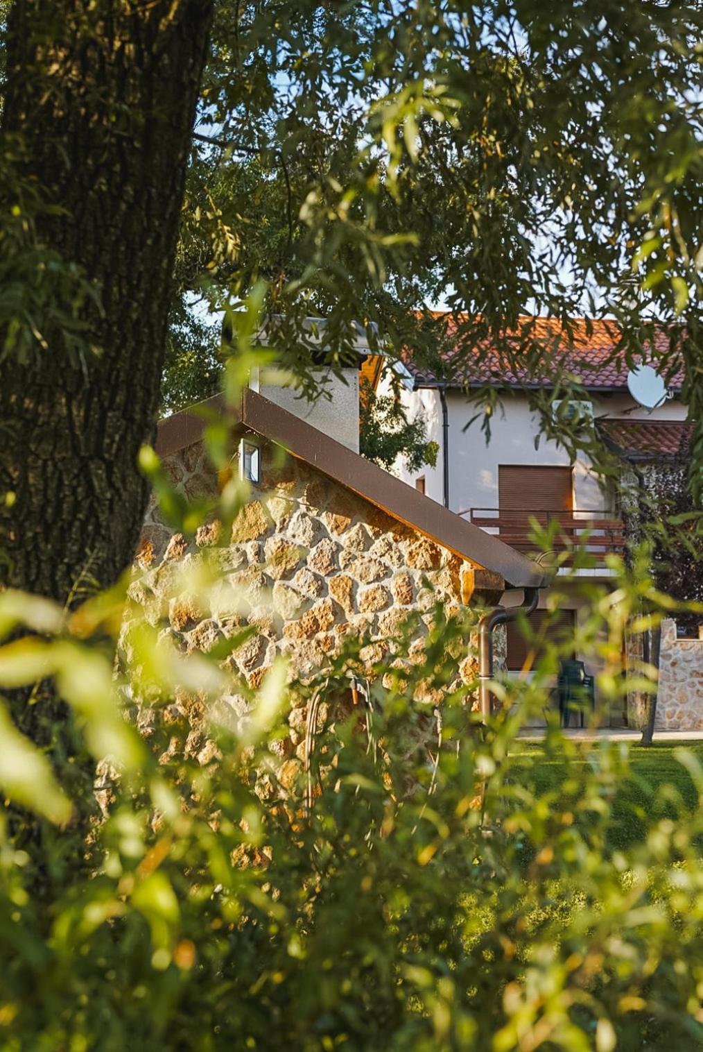 Villa Leko Dream House Cetina Buitenkant foto
